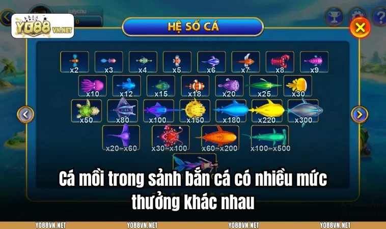 Cá mồi trong sảnh bắn cá có nhiều mức thưởng khác nhau