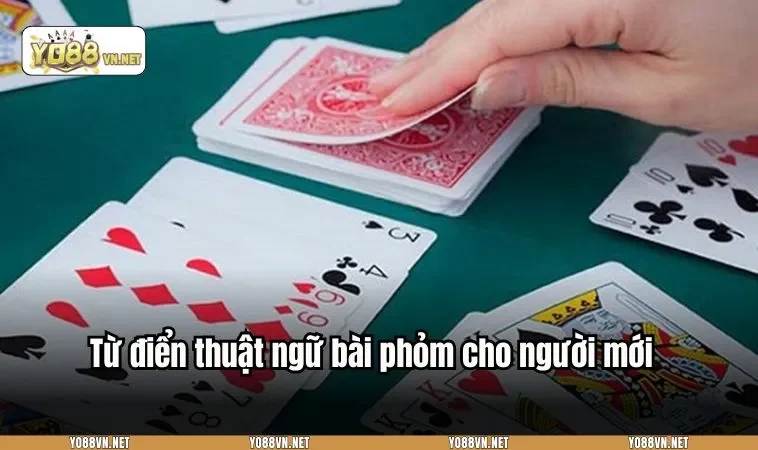 Từ điển thuật ngữ bài phỏm cho người mới